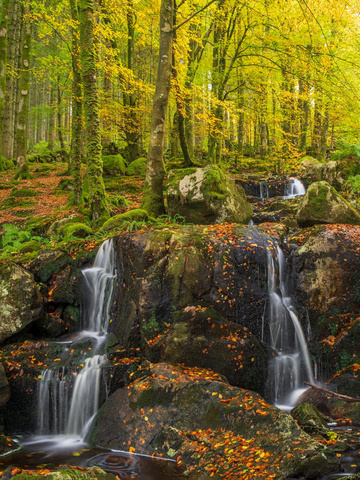 Waterfalls among autumn woodland photographed by Hugh Maxwell