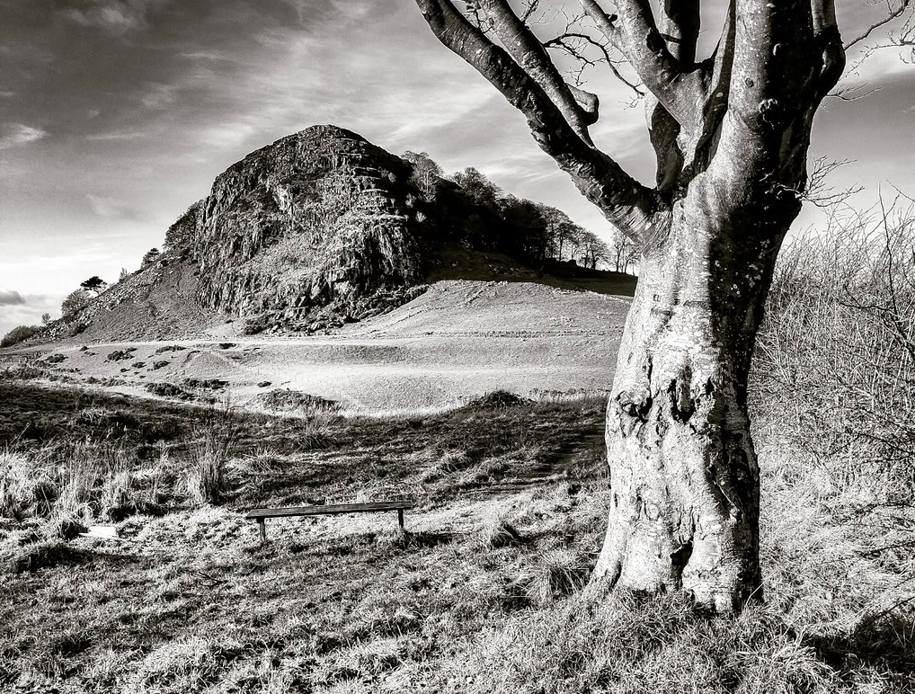 Black-and-white view of the rocky face of Loudoun Hill framed by a mature tree